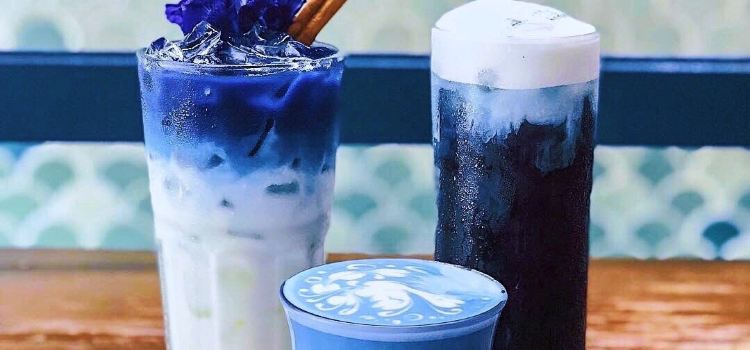 Terra Cafe