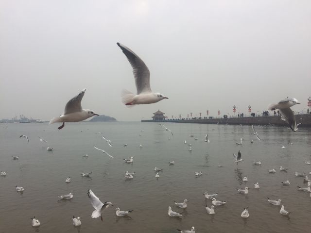 Zhanqiao Pier