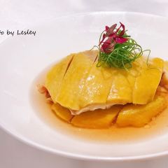 Moose (Pudong) User Photo