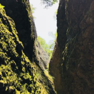 評論圖片 3