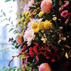 The Drawing Room (The St. Regis Shanghai Jingan) User Photo