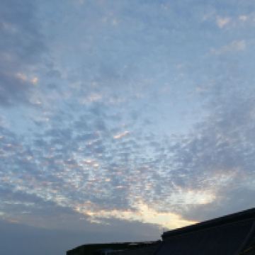 評論圖片 3