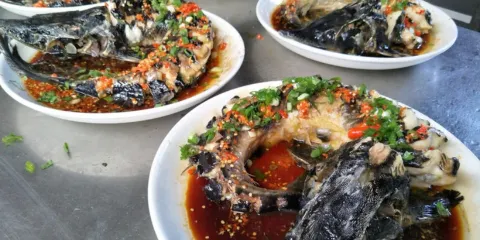 墨江哈尼一家人飯店