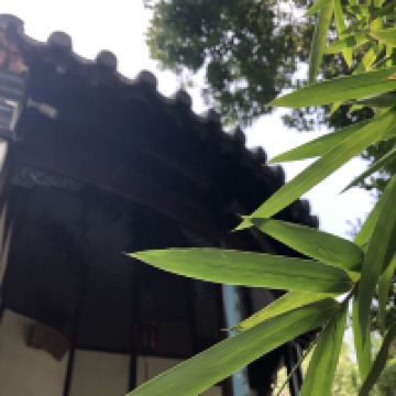 評論圖片 3