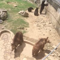 評論圖片 6