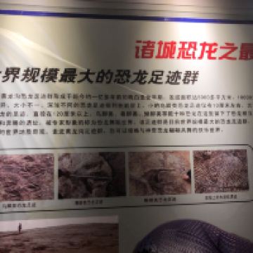 評論圖片 1