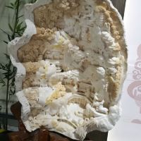 評論圖片 1