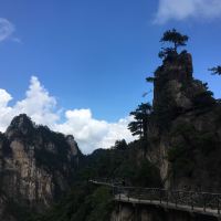 評論圖片 2