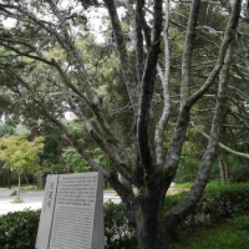 評論圖片 4