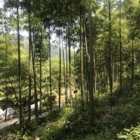 評論圖片 4