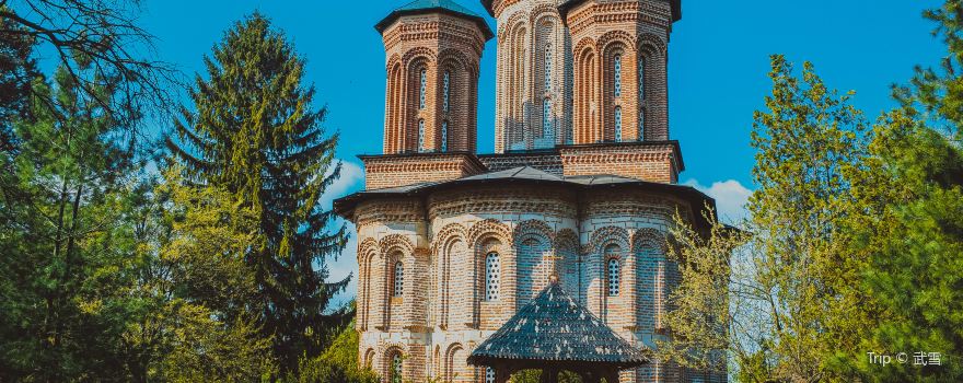 Snagov Monastery