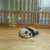 評論圖片 2