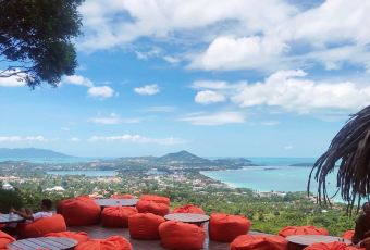 The Jungle Club Restaurant User Photo