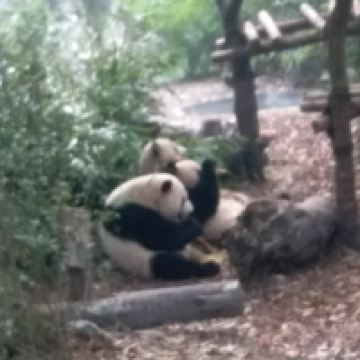評論圖片 4