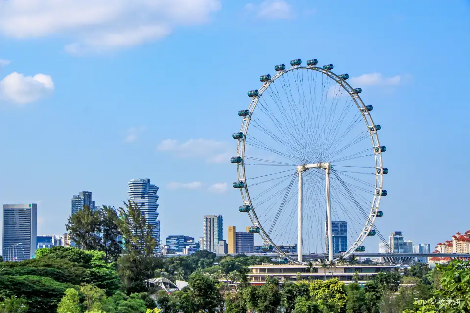 5_Singapore Flyer