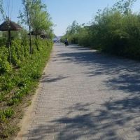 評論圖片 7