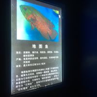 評論圖片 2
