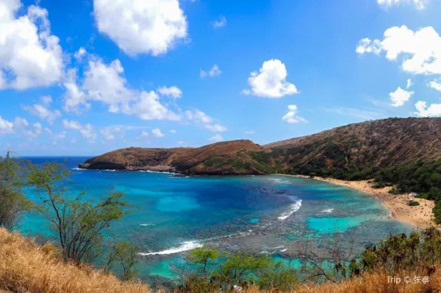 Best Snorkeling At Hanauma Bay