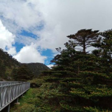評論圖片 9