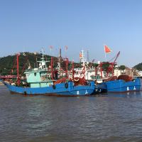 評論圖片 5
