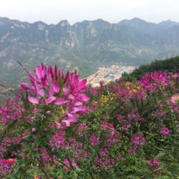 評論圖片 4