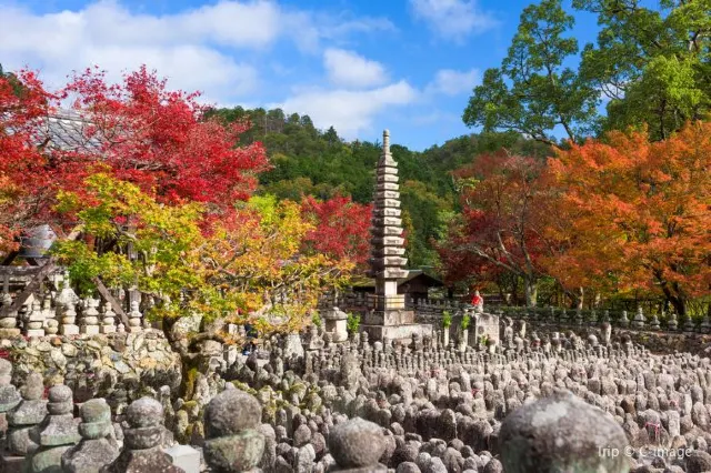 Arashiyama: Neighbourhood You Cannot Miss in Kyoto