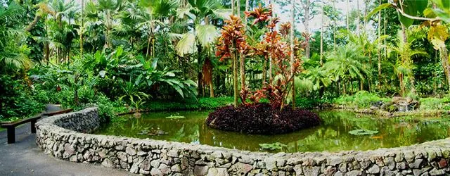 繽紛夏威夷 | 如何玩轉彩虹州,這幾種顏色告訴你!