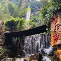 評論圖片 5