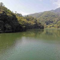 評論圖片 1