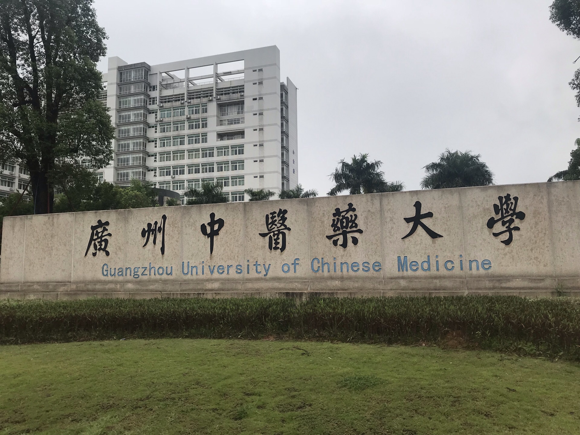 Guangdong Chinese Medicine Museum Travel Guidebook Must Visit Attractions In Guangzhou Guangdong Chinese Medicine Museum Nearby Recommendation Trip Com Guangdong Chinese Medicine Museum Travel Guidebook Must Visit Attractions In Guangzhou Guangdong Chinese Medicine Museum Nearby Recommendation Trip Com