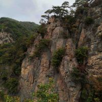 評論圖片 7