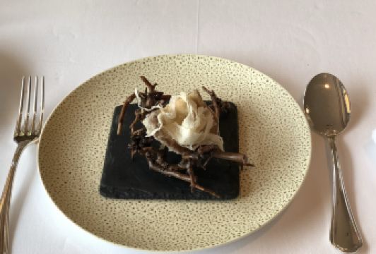 莫里哀用戶圖片