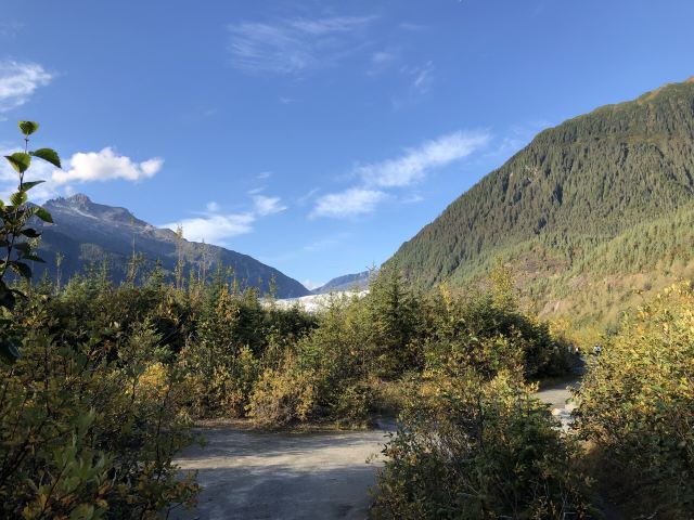 Mendenhall Glacier, mendenhall 冰川公園