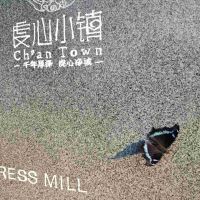 評論圖片 1