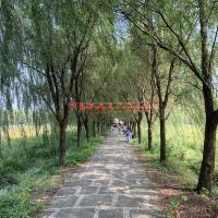 評論圖片 5