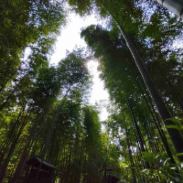 評論圖片 2