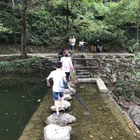 評論圖片 6