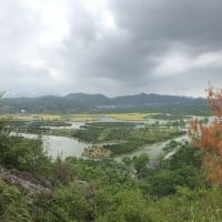 評論圖片 4