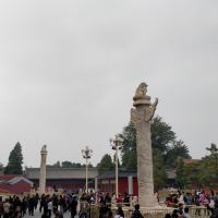 評論圖片 3