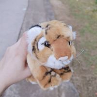 評論圖片 1