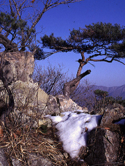 雲霧山