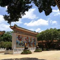 評論圖片 1