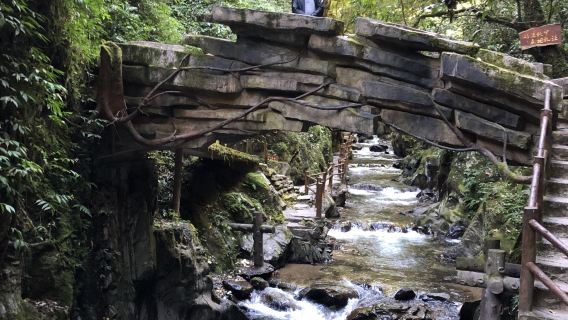 Ailaoshan Forest Tourist Area