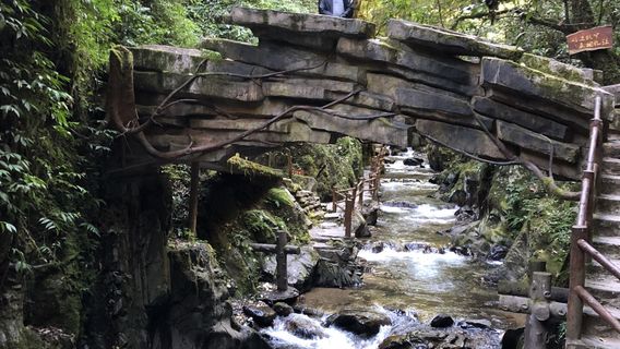Ailaoshan Forest Tourist Area