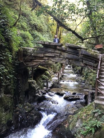 Ailaoshan Forest Tourist Area