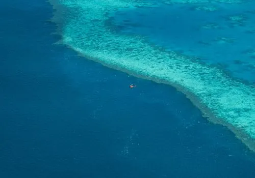 Guide to Great Barrier Reef: Nature Wonderland