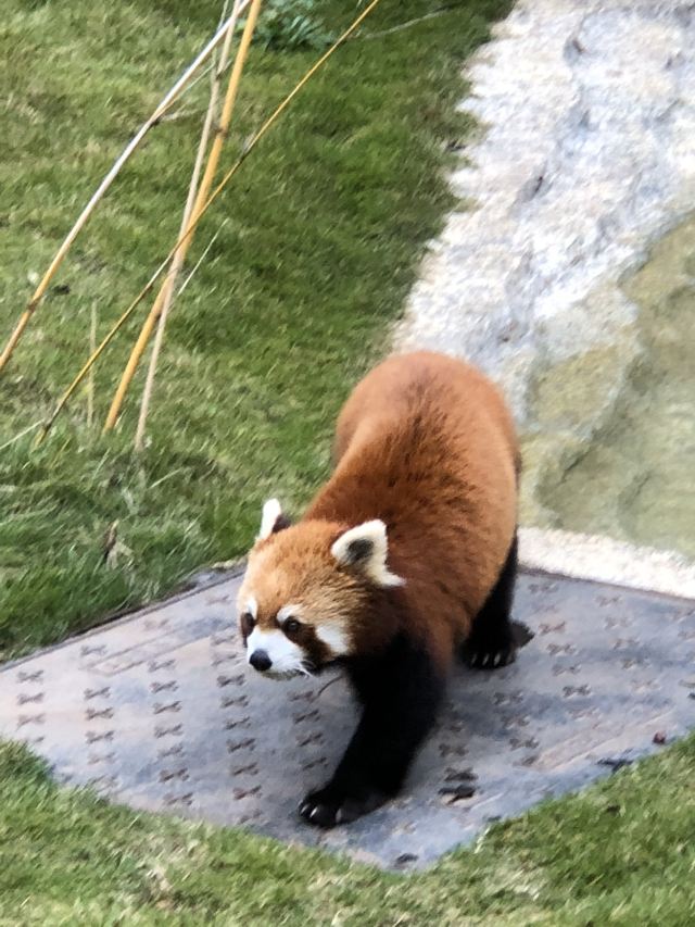 첸링산 공원