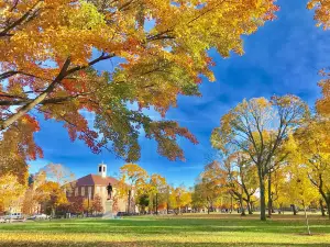 Università di Harvard
