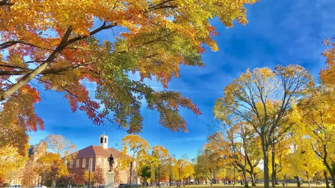 Università di Harvard attraction in Boston