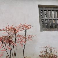 評論圖片 1